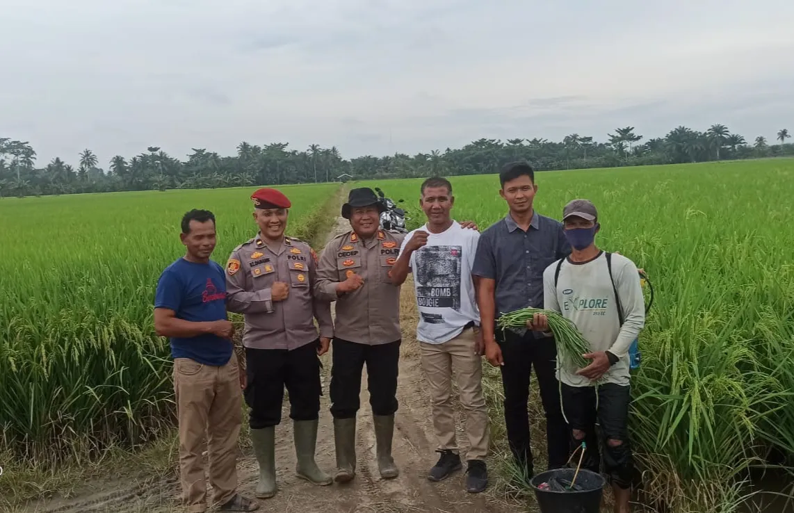 Kapolsek Labuhan Ruku Gelar Cooling System Bersama Petani Dukung Swasembada Pangan