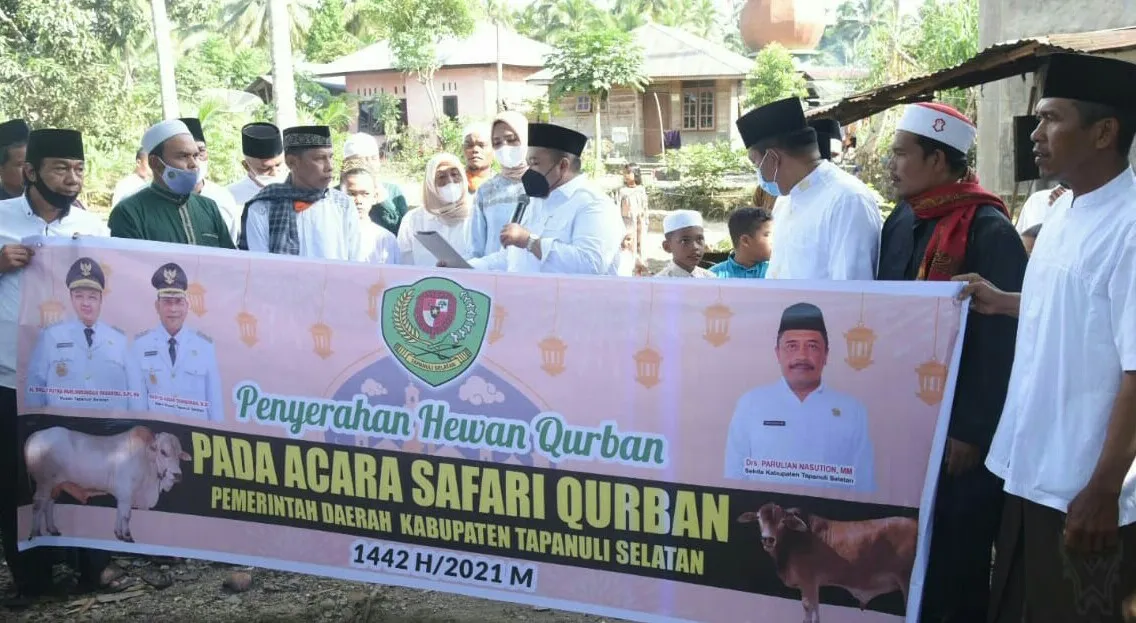Dolly Pasaribu Serahkan Hewan Kurban Program Safari Kurban Pemkab Tapsel