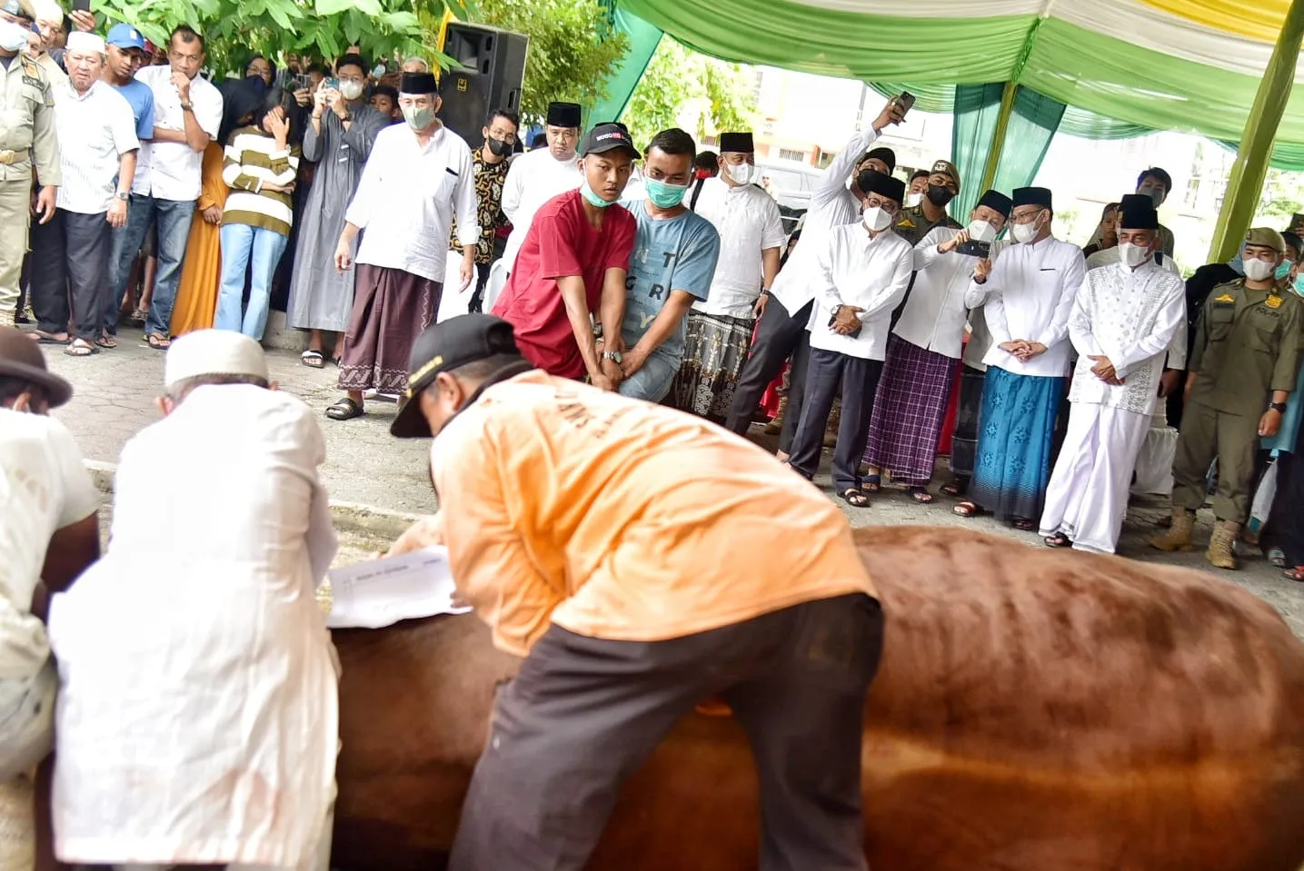 Edy Rahmayadi Kurban 9 Sapi. Pemprov Sumut Kurban 144 Sapi dan 3 Kambing
