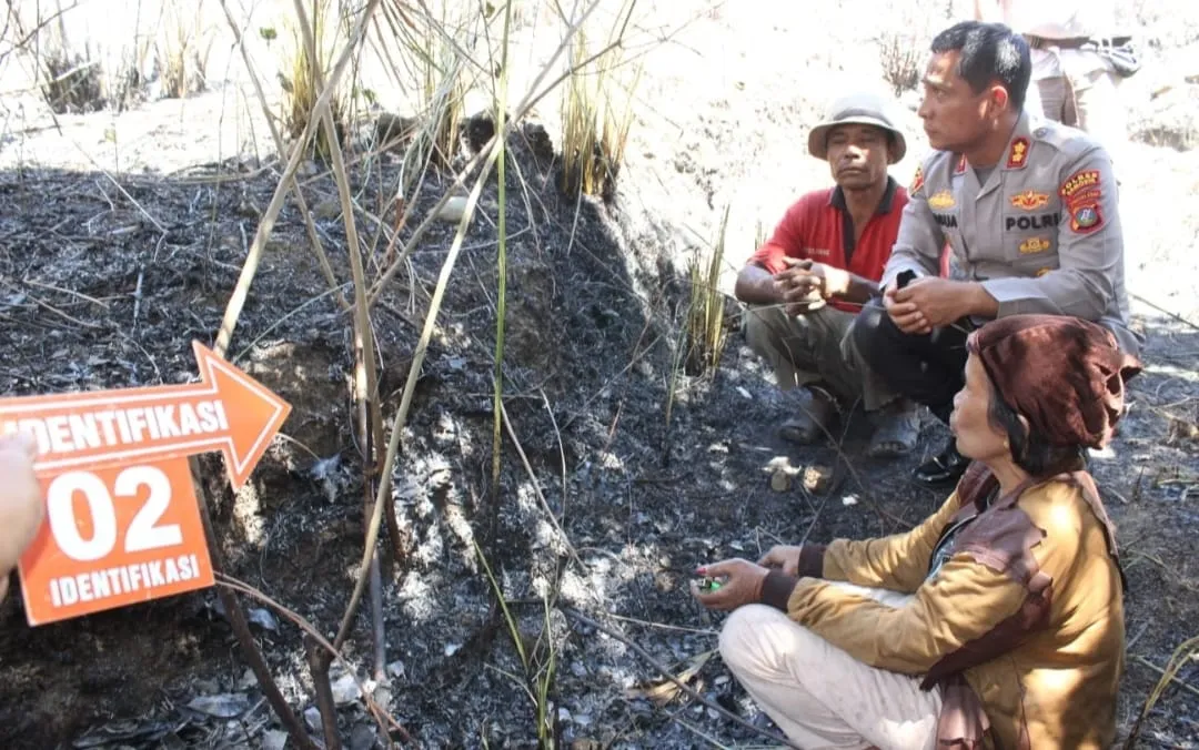 Dua Pelaku Pembakaran Hutan di Samosir Ditangkap