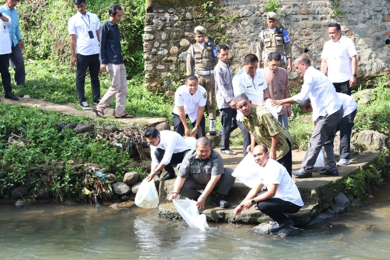 Bupati Dolly Tabur Ribuan Benih Ikan Jurung, Tawes dan Baung di Angkola Selatan.
