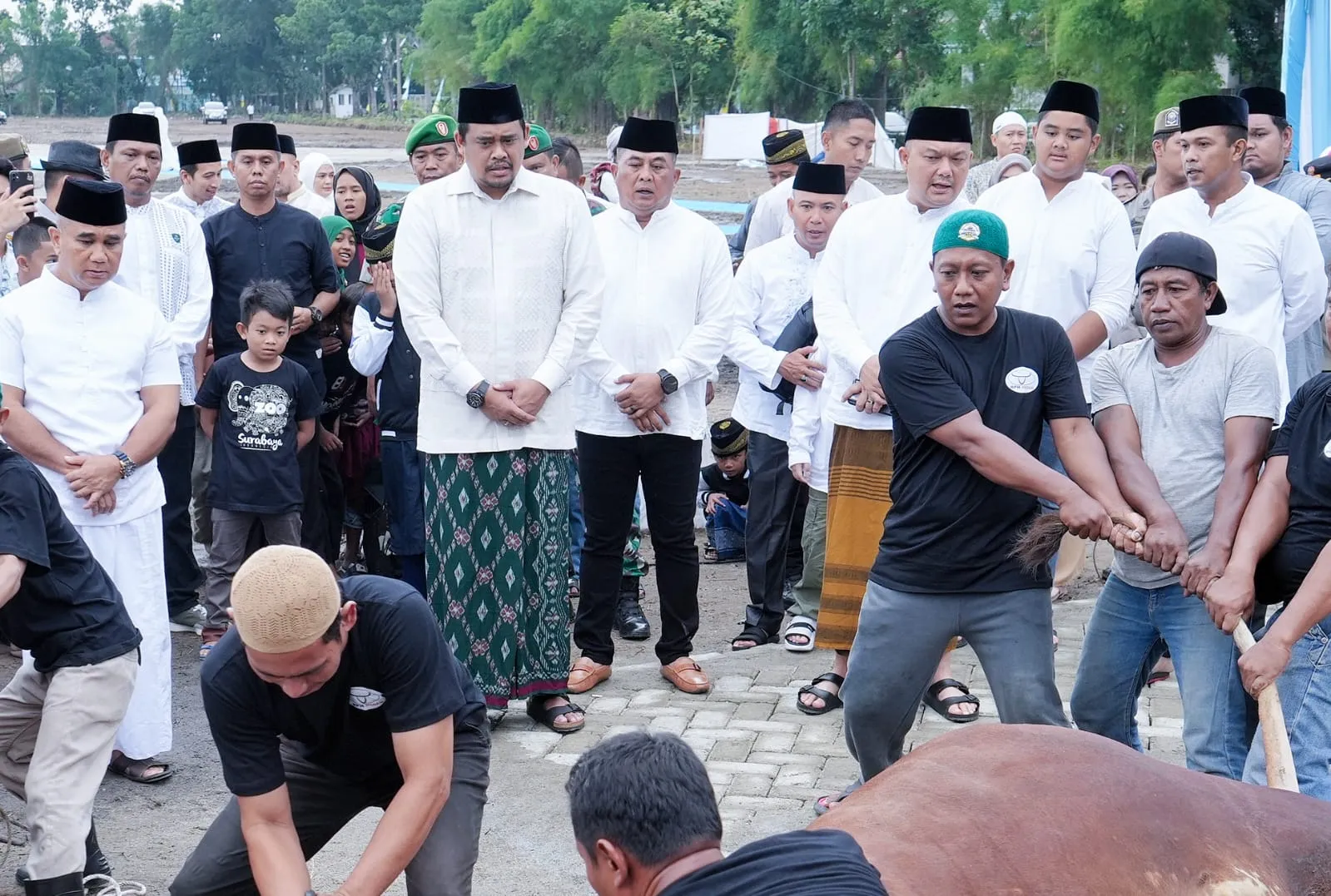 Bobby dan Keluarga Berkurban Satu Ekor Sapi. Ada 9.716 Hewan Qurban di Kota Medan.