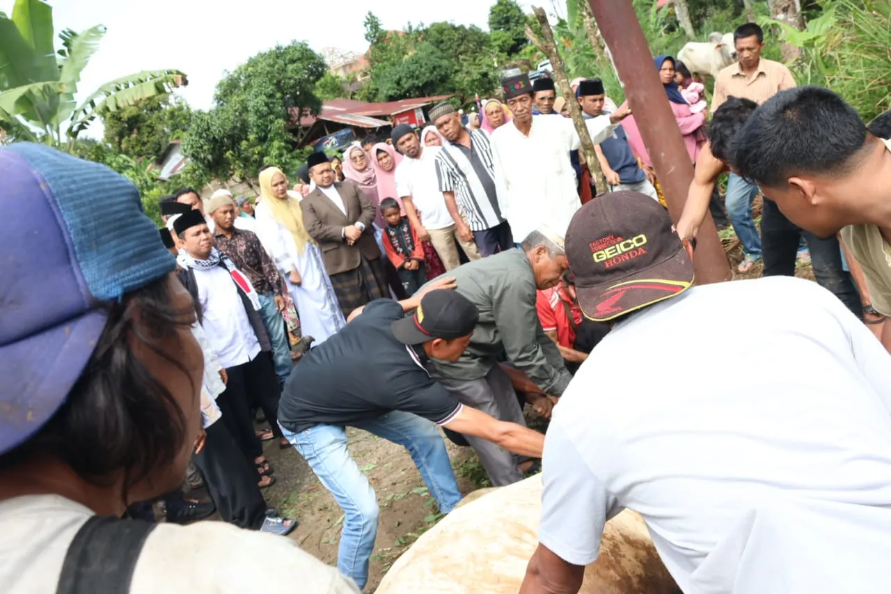 Bupati Dolly dan Keluarga Berkurban 6 Ekor Sapi.