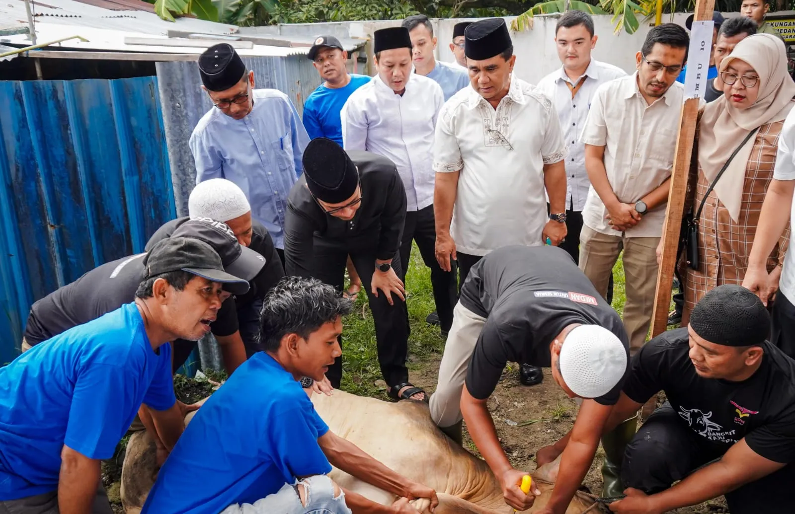 Rico Waas Saksikan Pemotongan Hewan Kurban,9.635 Hewan Kurban Disembelih