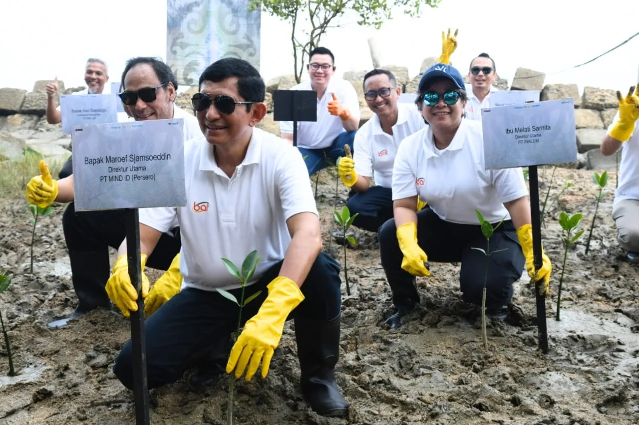 MIND ID Bersama Anggota Grup INALUM Gelar Aksi Penanaman Mangrove di Mempawah