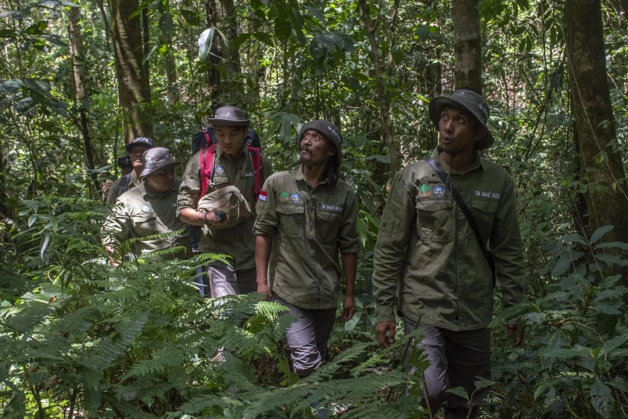 INALUM Dukung Patroli Hutan dan Edukasi Konservasi di Taman Nasional Gunung Leuser