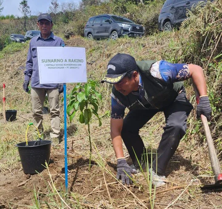 INALUM Tanam 600 Pohon,Tanda Dimulainya Penghijauan 500 Hektar di DTA Danau Toba