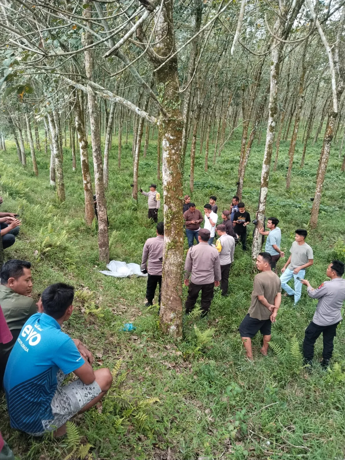 Remaja Perempuan Ditemukan Tewas di Areal Perkebunan Bridgestone Tapian Dolok