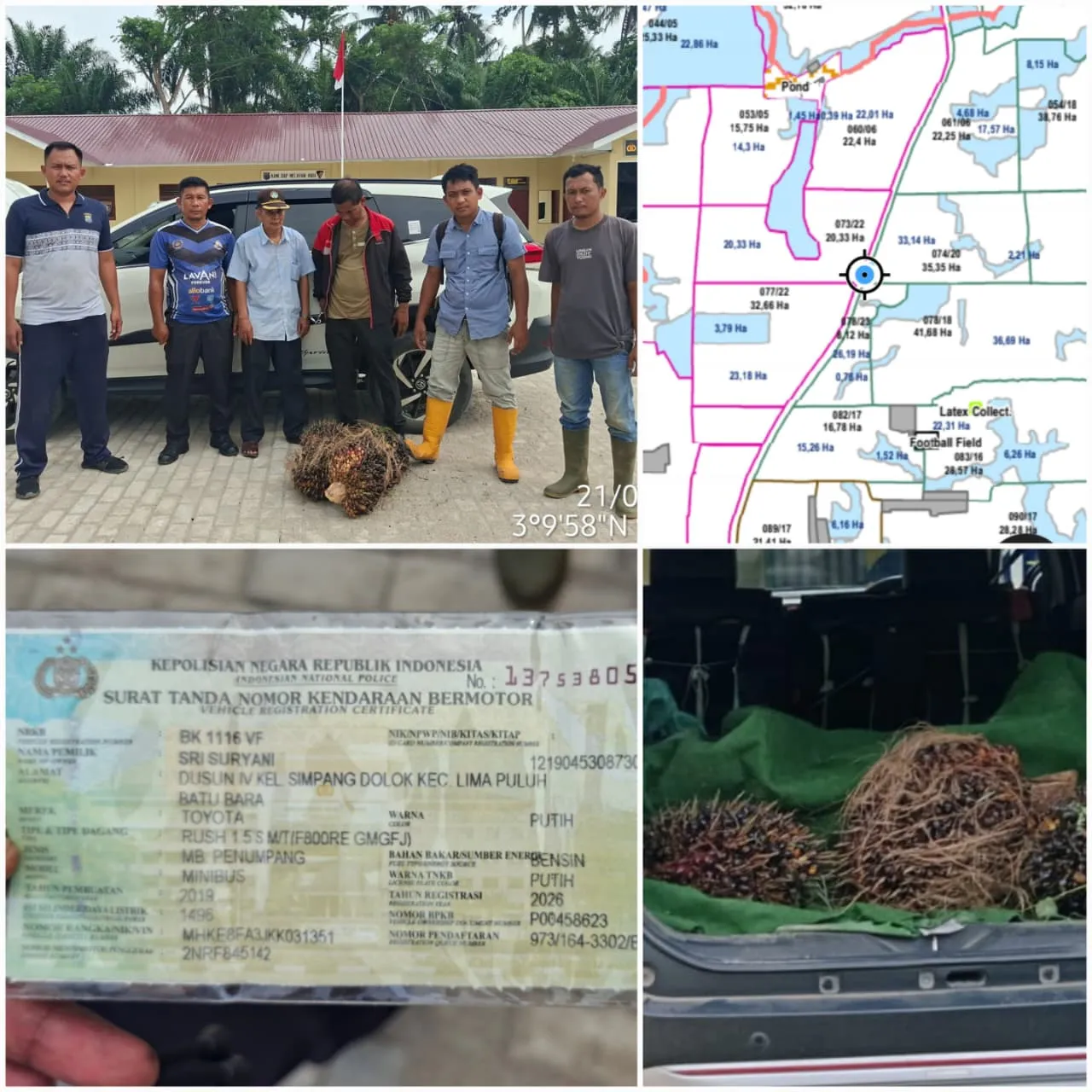 Dua Pencuri Sawit di Lahan PT Socfindo Ditangkap Polisi