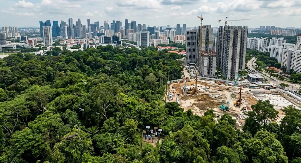 178 Spesies Terancam, Warga Singapura Desak Pemerintah Batalkan Proyek Perumahan