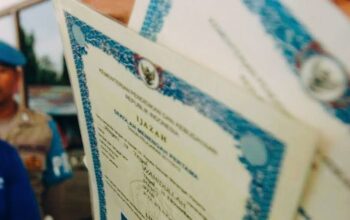 Panduan Lengkap Cara Cek Nomor Ijazah SD, SMP, dan SMA Secara Online dan Offline