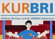 Pinjaman Tanpa Agunan UMKM 2025: Panduan Lengkap KUR BRI Online & Offline, Bunga Rendah, Proses Cepat!