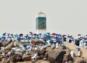Menuju Puncak Haji: Ini Persiapan Penting Jemaah Indonesia Sebelum Berangkat ke Arafah