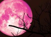 Fenomena Langka Strawberry Moon 2025: Bulan Purnama Terendah dalam 18,6 Tahun, Ini Waktu dan Cara Melihatnya
